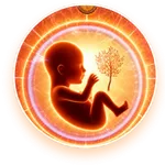 Published research study on Garbh Sanskar outcomes in 1,323 mothers