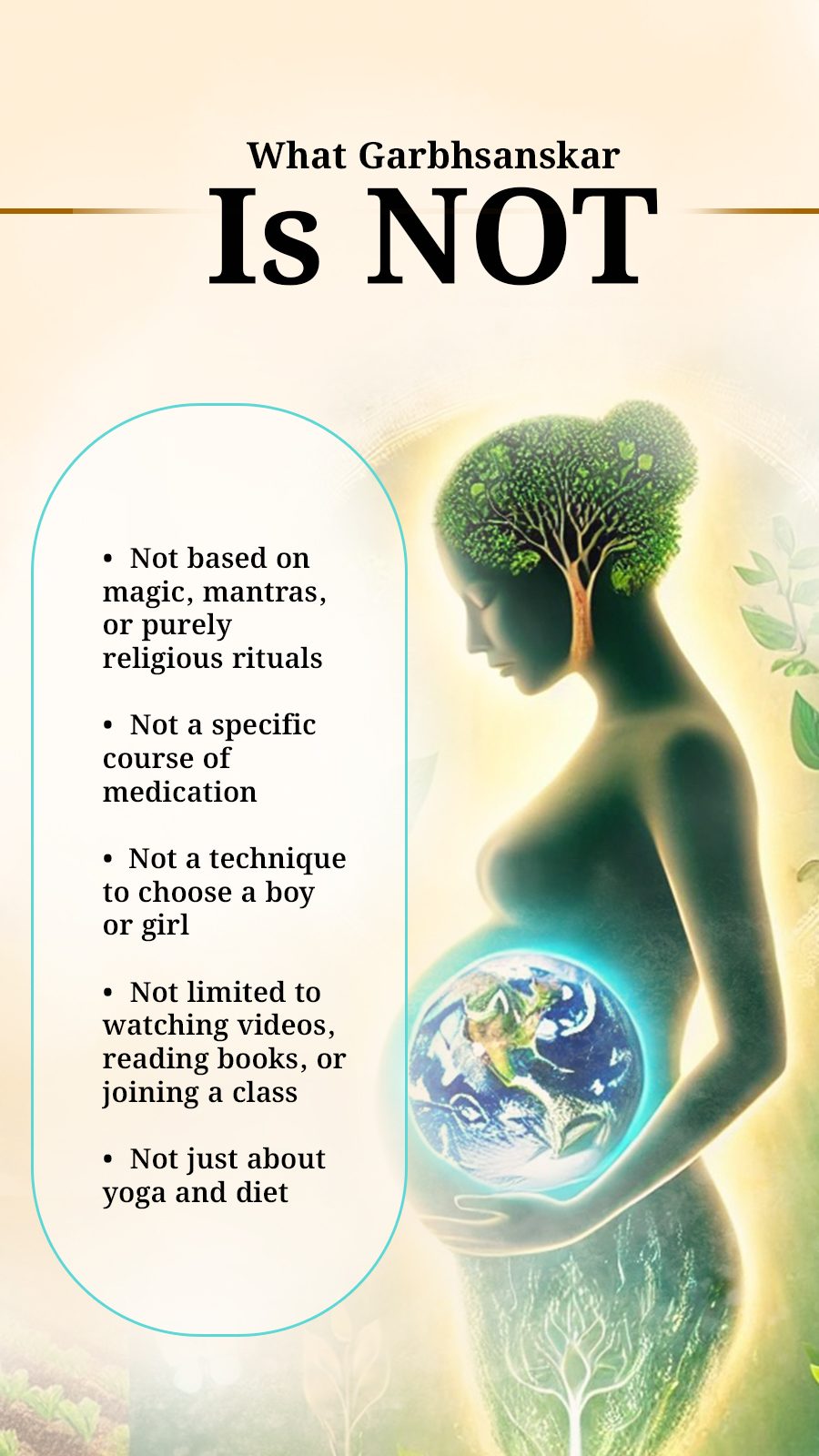 Revision card 5